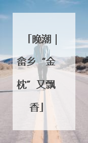 晚潮｜畲乡“金枕”又飘香