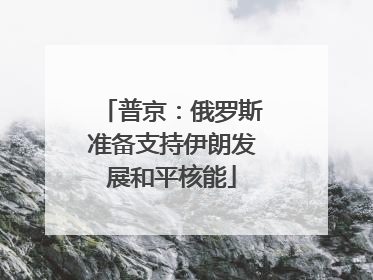 普京：俄罗斯准备支持伊朗发展和平核能