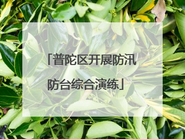 普陀区开展防汛防台综合演练