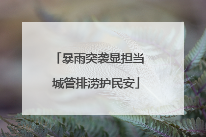 暴雨突袭显担当 城管排涝护民安