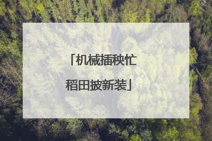 机械插秧忙 稻田披新装
