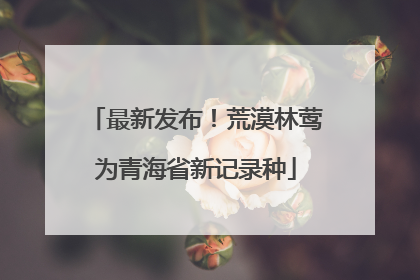 最新发布！荒漠林莺为青海省新记录种