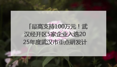 最高支持100万元！武汉经开区5家企业入选2025年度武汉市重点研发计划拟立项项目名单