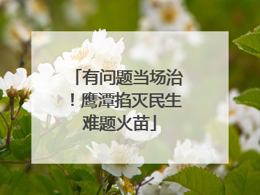 有问题当场治！鹰潭掐灭民生难题火苗