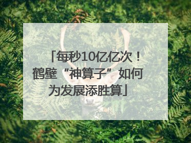 每秒10亿亿次！鹤壁“神算子”如何为发展添胜算