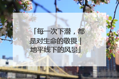 每一次下潜，都是对生命的敬畏｜地平线下的风景