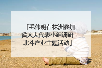 毛伟明在株洲参加省人大代表小组调研北斗产业主题活动
