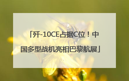 歼-10CE占据C位！中国多型战机亮相巴黎航展
