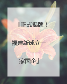 正式揭牌！福建新成立一家国企