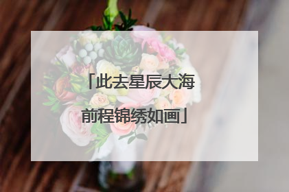 此去星辰大海 前程锦绣如画