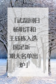 武磊回归 杨明洋和王钰栋入选 国足新一期大名单出炉