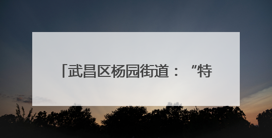 武昌区杨园街道：“特殊”踏青心相连 架起包容友爱“连心桥”