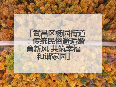 武昌区杨园街道：传统民俗邂逅婚育新风 共筑幸福和谐家园