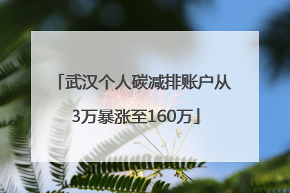 武汉个人碳减排账户从3万暴涨至160万