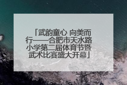 武韵童心 向美而行——合肥市天水路小学第二届体育节暨武术比赛盛大开幕