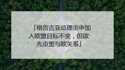 格鲁吉亚总理重申加入欧盟目标不变，但欲先重塑与欧关系