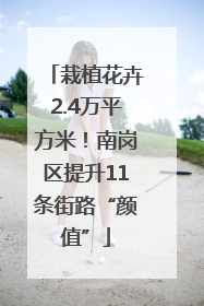 栽植花卉2.4万平方米！南岗区提升11条街路“颜值”