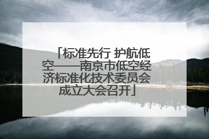 标准先行 护航低空——南京市低空经济标准化技术委员会成立大会召开