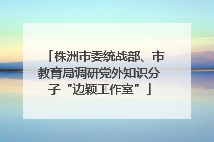 株洲市委统战部、市教育局调研党外知识分子“边颖工作室”