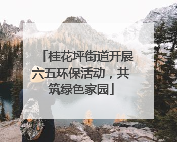 桂花坪街道开展六五环保活动，共筑绿色家园