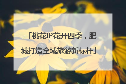 桃花IP花开四季，肥城打造全域旅游新标杆