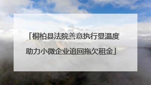 桐柏县法院善意执行显温度 助力小微企业追回拖欠租金