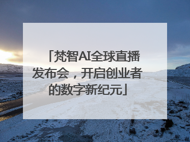 梵智AI全球直播发布会，开启创业者的数字新纪元