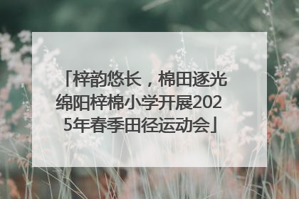 梓韵悠长，棉田逐光 绵阳梓棉小学开展2025年春季田径运动会