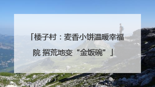 楼子村：麦香小饼温暖幸福院 撂荒地变“金饭碗”