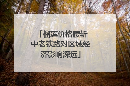 榴莲价格腰斩 中老铁路对区域经济影响深远