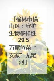 榆林市横山区：守护生物多样性 29.5万尾鱼苗“安家”无定河