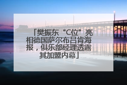 樊振东“C位”亮相德国萨尔布吕肯海报，俱乐部经理透露其加盟内幕