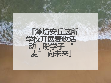 潍坊安丘这所学校开展麦收活动，盼学子 “麦” 向未来