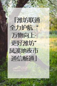 潍坊联通全力护航“万物向上·更好潍坊”凤溪地夜市通信畅通