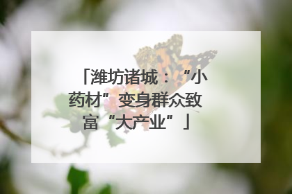 潍坊诸城：“小药材”变身群众致富“大产业”