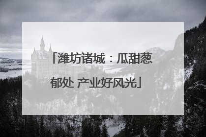 潍坊诸城：瓜甜葱郁处 产业好风光