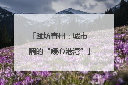 潍坊青州：城市一隅的“暖心港湾”