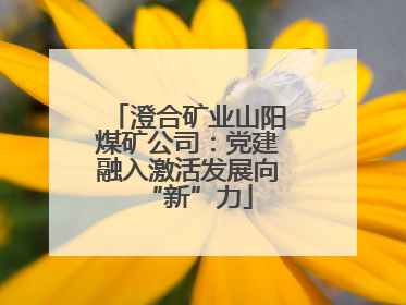 澄合矿业山阳煤矿公司：党建融入激活发展向“新”力