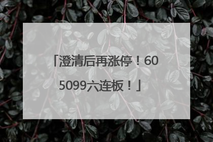 澄清后再涨停！605099六连板！