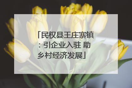 民权县王庄寨镇：引企业入驻 助乡村经济发展