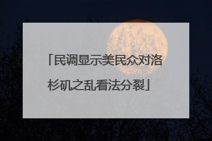 民调显示美民众对洛杉矶之乱看法分裂