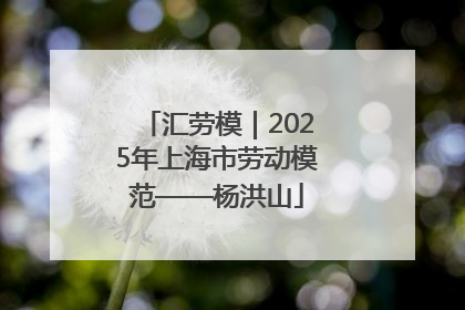 汇劳模｜2025年上海市劳动模范——杨洪山