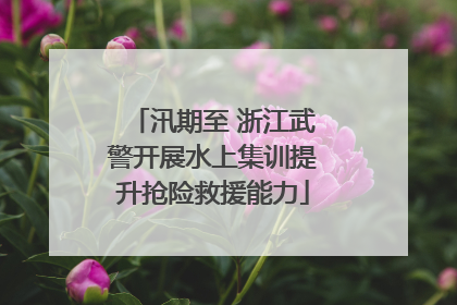 汛期至 浙江武警开展水上集训提升抢险救援能力