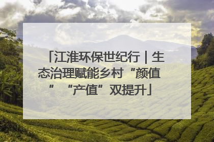 江淮环保世纪行｜生态治理赋能乡村“颜值”“产值”双提升