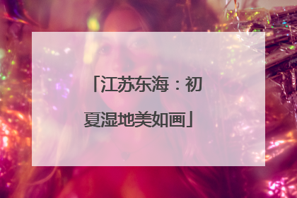 江苏东海：初夏湿地美如画