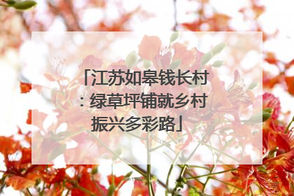 江苏如皋钱长村：绿草坪铺就乡村振兴多彩路