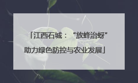 江西石城：“放蜂治蚜”助力绿色防控与农业发展