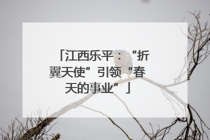江西乐平：“折翼天使”引领“春天的事业”