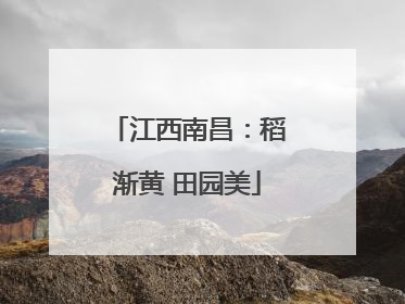 江西南昌：稻渐黄 田园美
