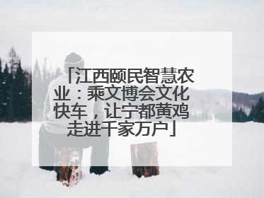 江西颐民智慧农业：乘文博会文化快车，让宁都黄鸡走进千家万户